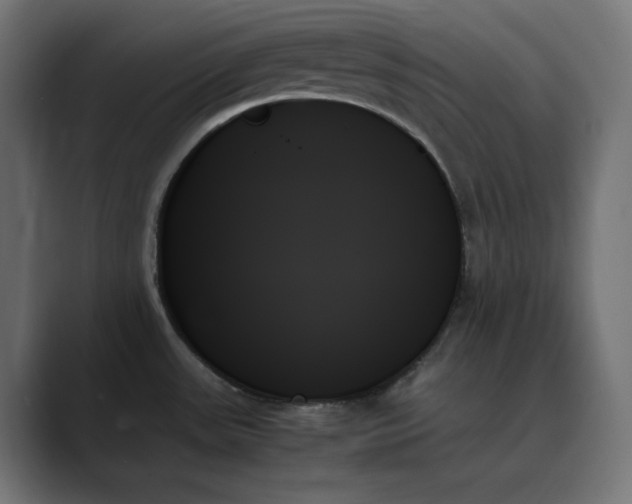X0000089351531200706291011