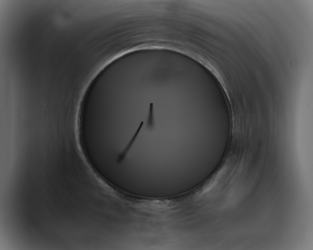X0000089351533200706291011