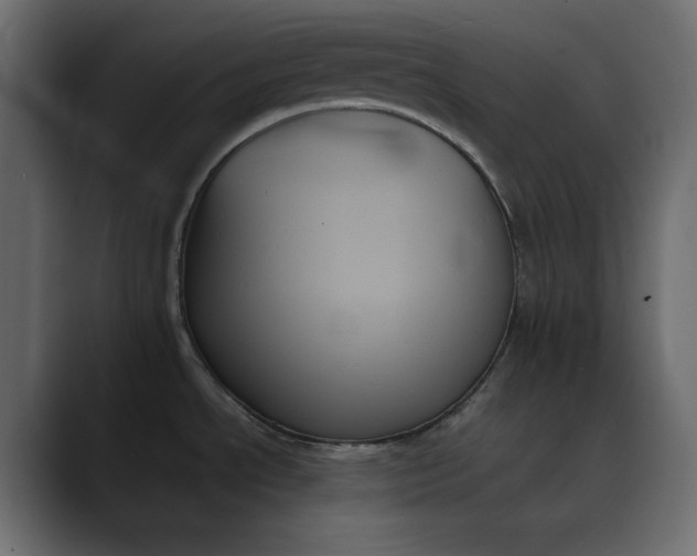 X0000089351534200706291011
