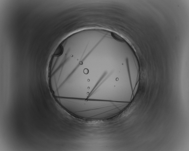 X0000089351535200706291011
