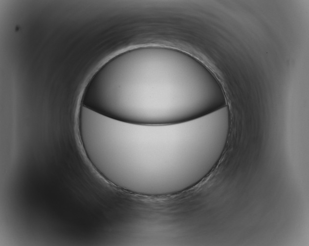 X0000089351536200706291011