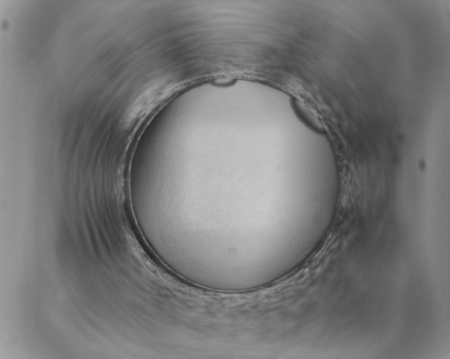 X0000089350002200707061036