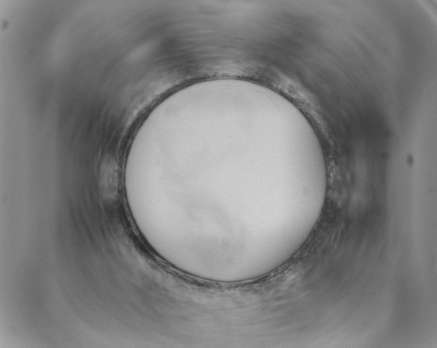 X0000089350012200707061036