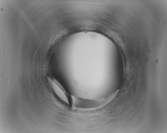 X0000089350017200707061036