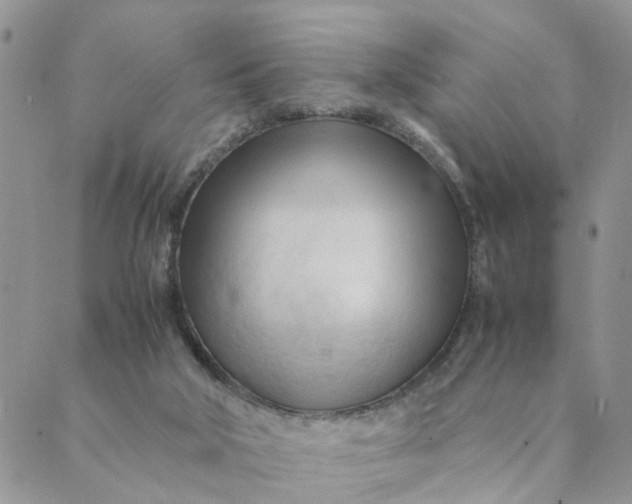 X0000089350018200707061036