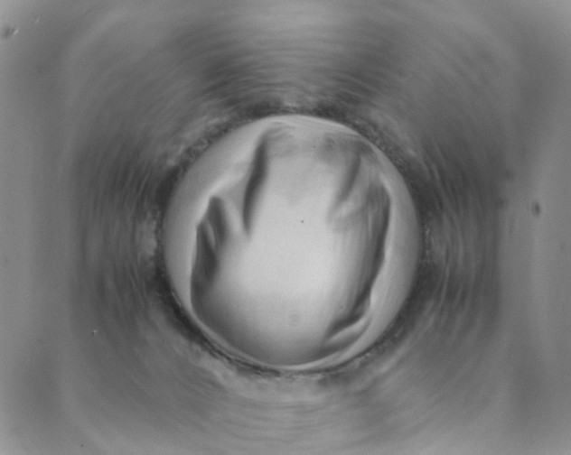 X0000089350032200707061035