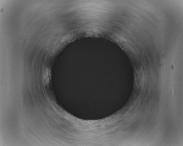 X0000089350038200707061035