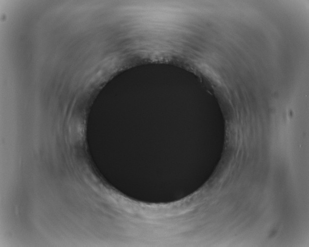 X0000089350039200707061035