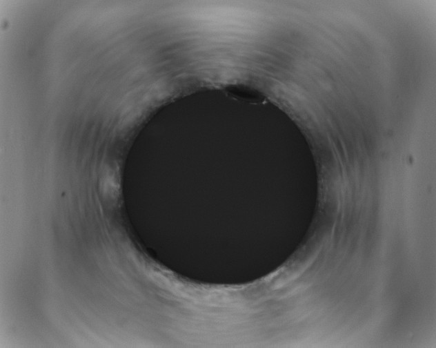 X0000089350040200707061035