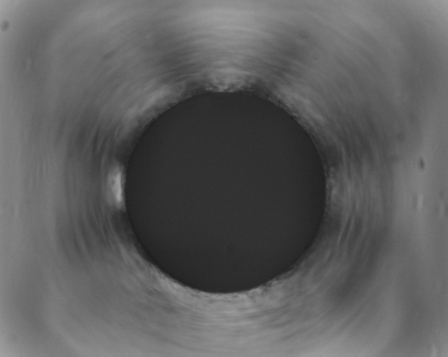 X0000089350042200707061035