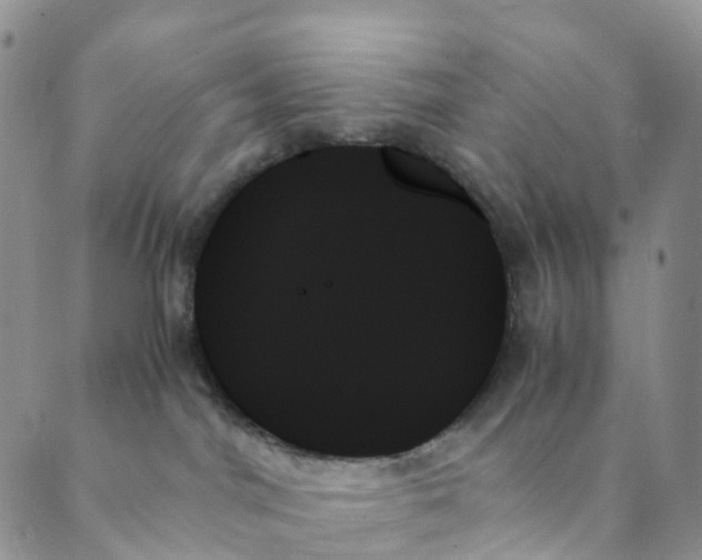 X0000089350044200707061035