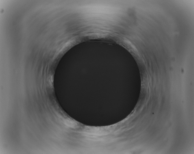 X0000089350045200707061035