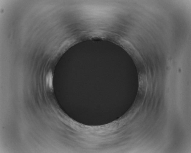 X0000089350046200707061035