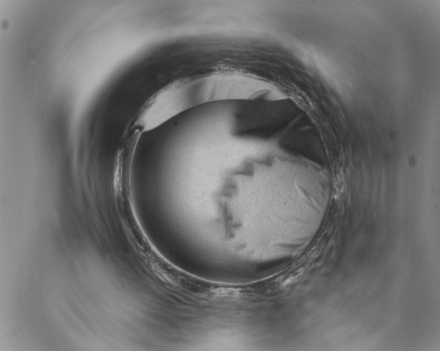 X0000089350052200707061034