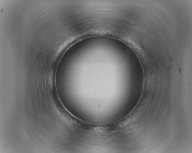 X0000089350064200707061035