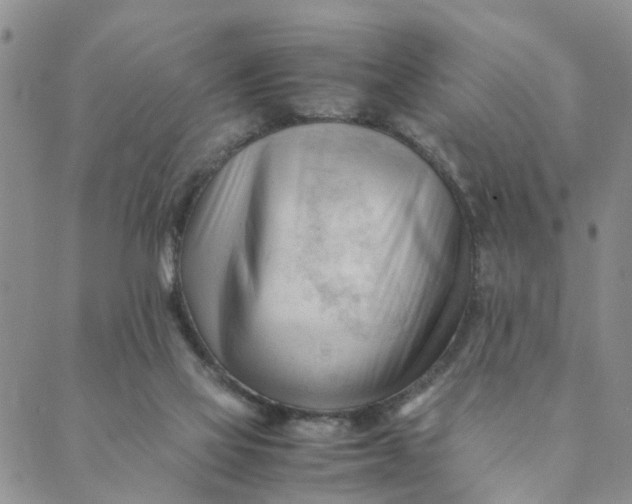 X0000089350069200707061035