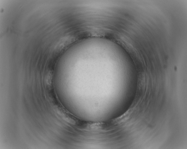X0000089350078200707061035