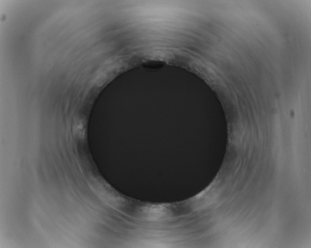 X0000089350086200707061035
