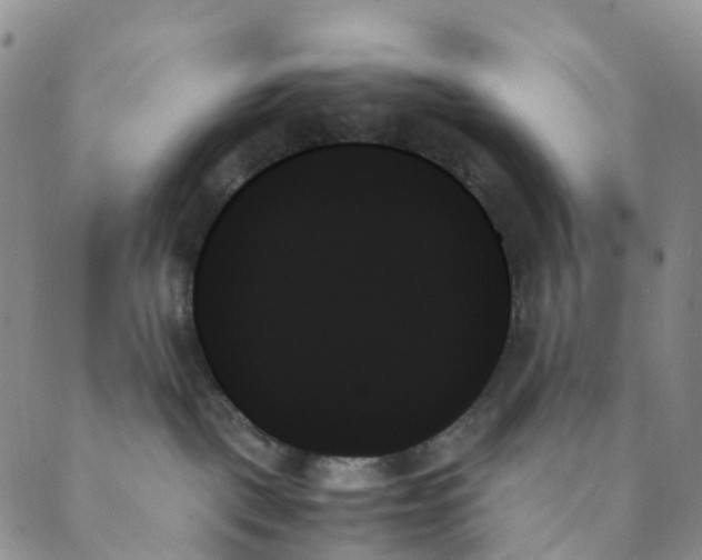 X0000089350093200707061035