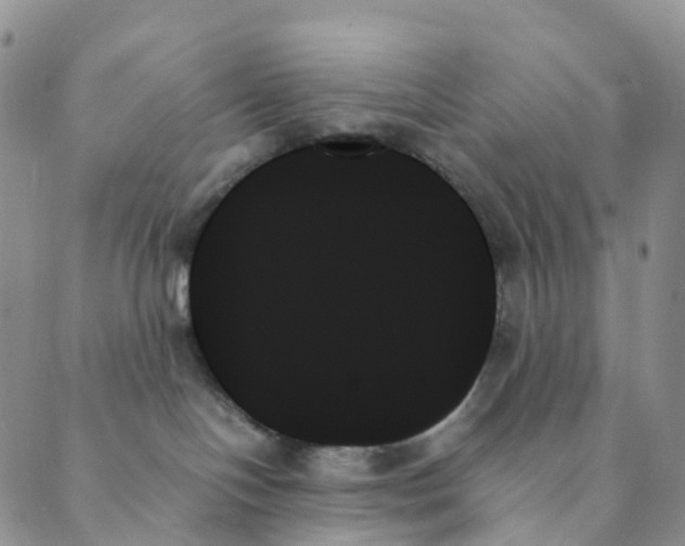 X0000089350094200707061035