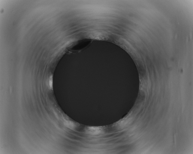 X0000089350095200707061035