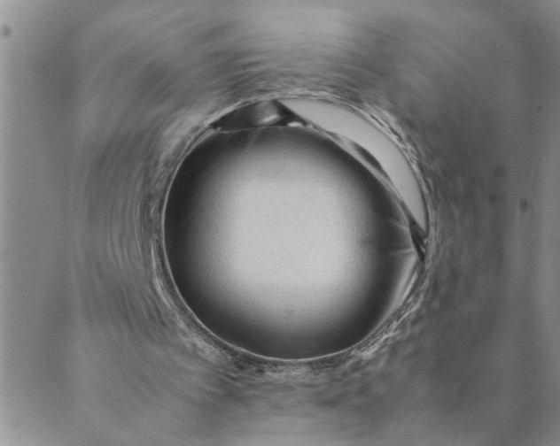 X0000089350097200707061034