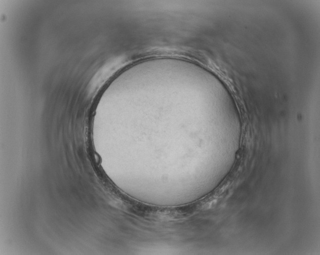 X0000089350103200707061034