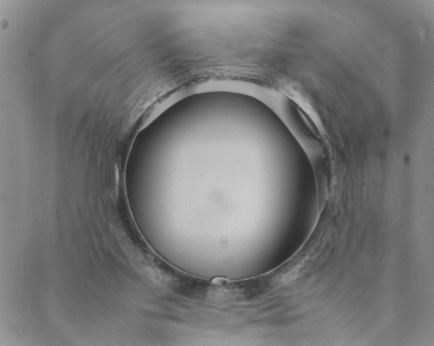 X0000089350109200707061034