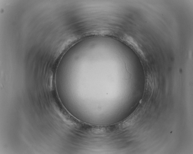 X0000089350110200707061034