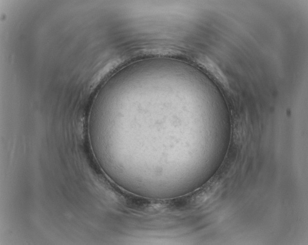 X0000089350111200707061034