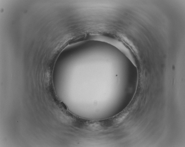 X0000089350113200707061034