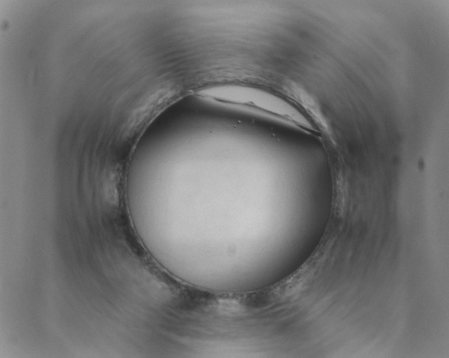 X0000089350114200707061034