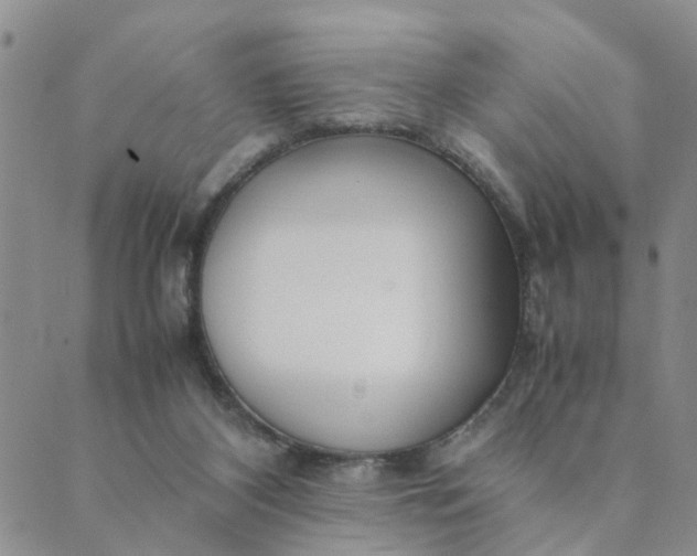 X0000089350116200707061034