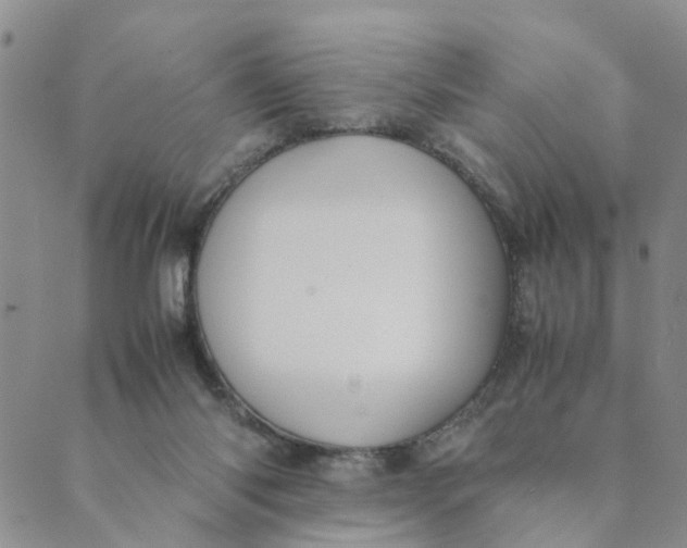 X0000089350118200707061034