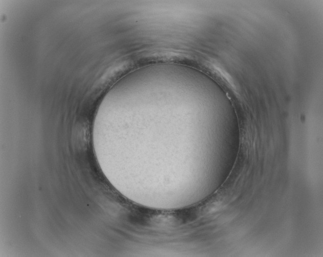 X0000089350119200707061034