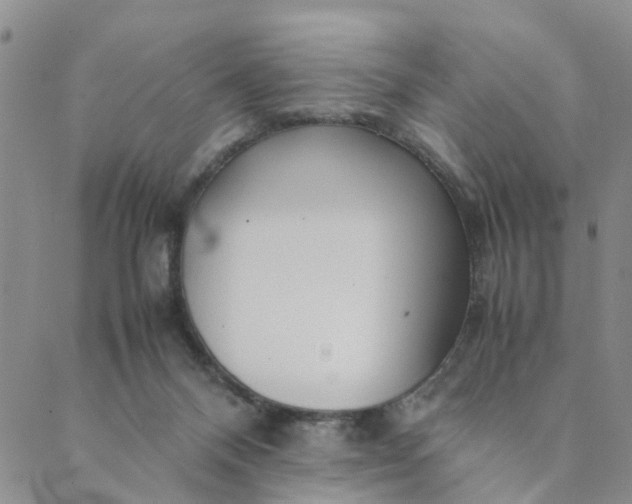 X0000089350120200707061034