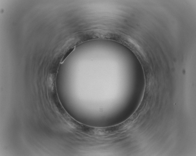 X0000089350121200707061034