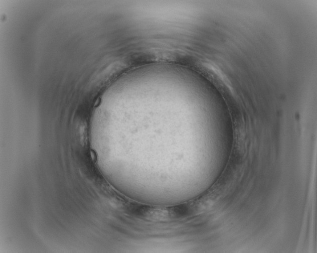 X0000089350123200707061034