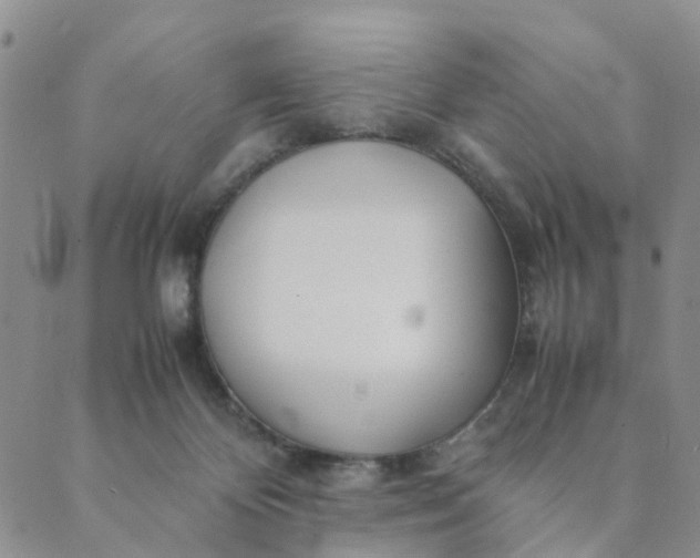 X0000089350124200707061034