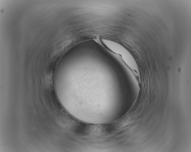 X0000089350127200707061034