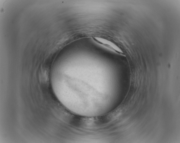 X0000089350131200707061034