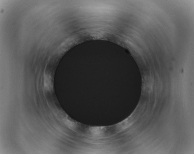 X0000089350136200707061034