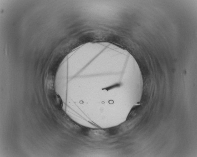 X0000089350137200707061034