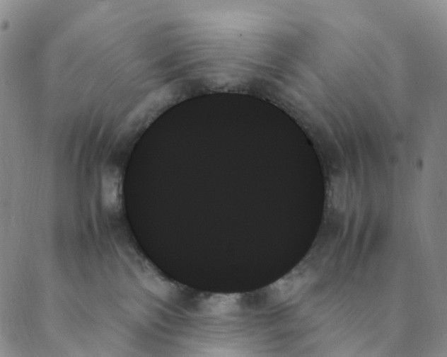 X0000089350138200707061034