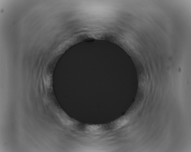X0000089350139200707061034