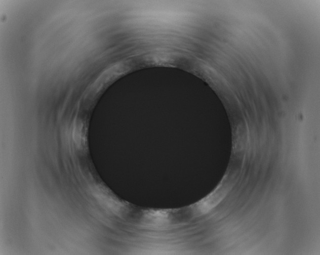 X0000089350140200707061034