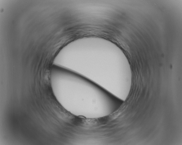 X0000089350141200707061034