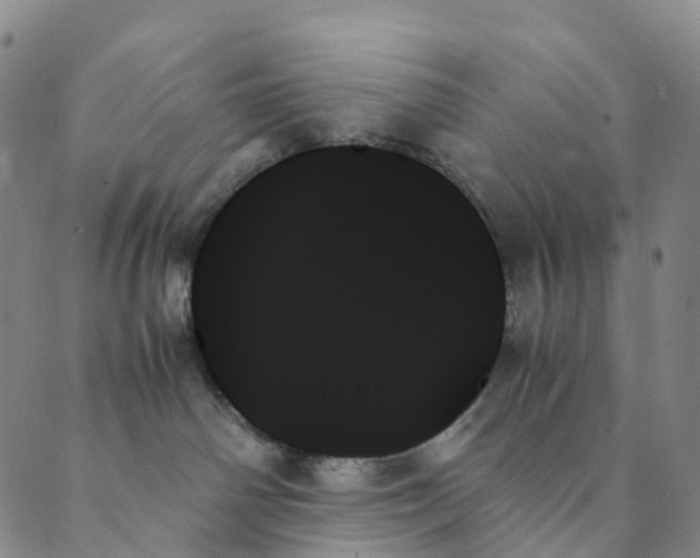 X0000089350142200707061034