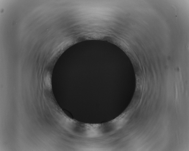 X0000089350143200707061034