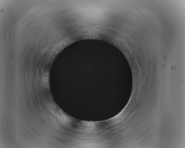 X0000089350144200707061034